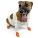 PawZ Dog Boots (12-pack) - XSmall PawZ Dog Boots, (Orange, 2" L)  