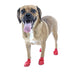 PawZ Dog Boots (12-pack) - Small PawZ Dog Boots, Red, (2.5" L)  