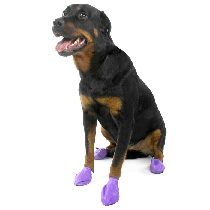 PawZ Dog Boots (12-pack) - Large PawZ Dog Boots, (Purple, 4" L)  