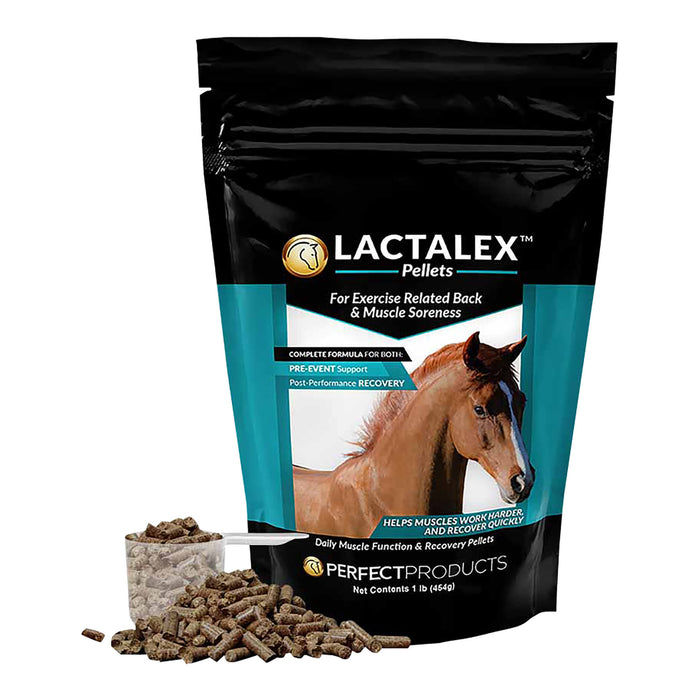 Perfect Prep EQ Lactalex Muscle Support Horse Supplement Pellets - PEPB6 - 1 lb Bag - 5