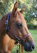 Perri's Leather Overlay Halter, Black/Brown - Jeffers - Horse Supplies > Horse Tack > Horse Halters