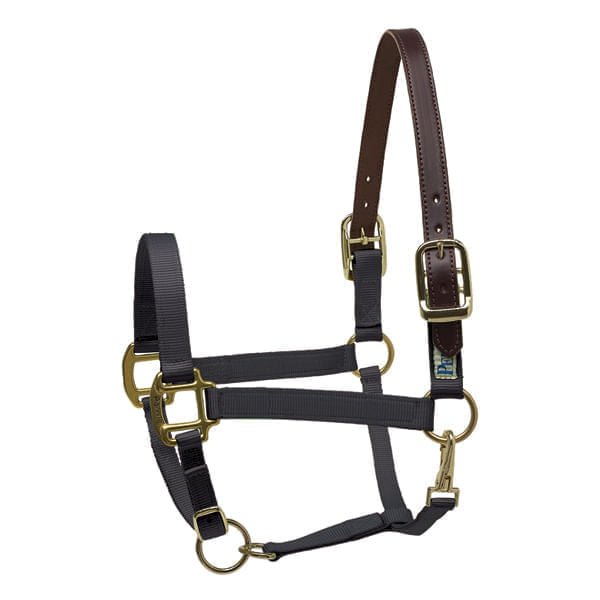 Perri's Nylon Breakaway Halter, Cob Size - Jeffers - Horse Supplies > Horse Tack > Horse Halters