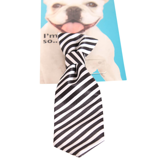 Pet Head I'm So Fly Black & White Stripe Tie - Jeffers - Dog Supplies > Dog Apparel