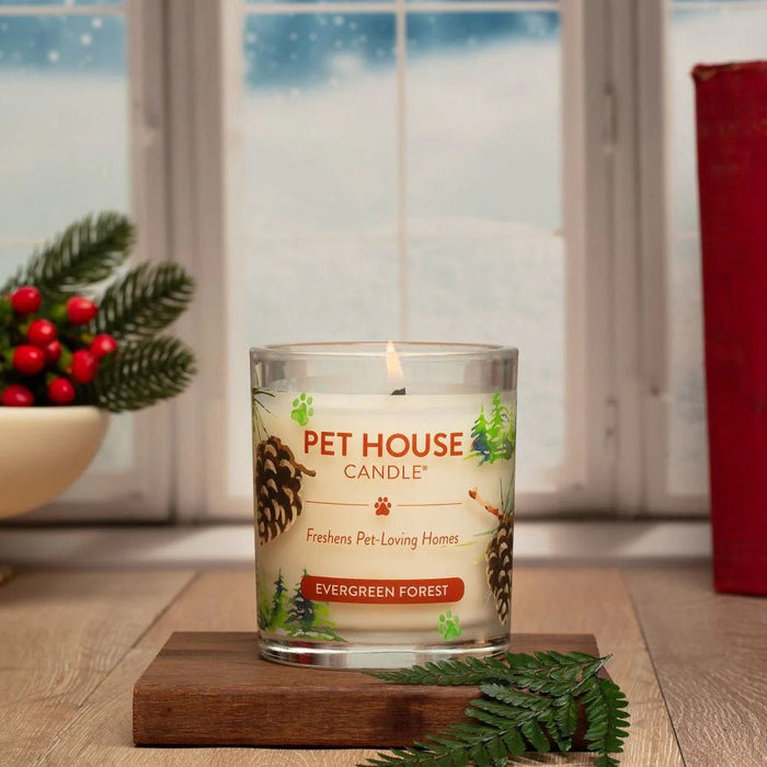 Pet House Candle, 9 oz – Pet Odor Eliminating, Non - Toxic, Long - Lasting, Hand - Poured in USA - PHC4 - Evergreen Forest - 9 oz - 1 ct - 18