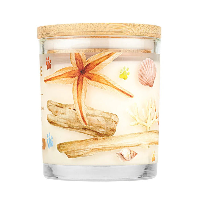 Pet House Candle, 9 oz – Pet Odor Eliminating, Non - Toxic, Long - Lasting, Hand - Poured in USA - PHCH - Ocean Driftwood - 9 oz - 1 ct - 84