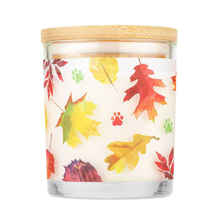 Pet House Candle, 9 oz – Pet Odor Eliminating, Non - Toxic, Long - Lasting, Hand - Poured in USA - PHCV - Falling Leaves - 9 oz - 1 ct - 135