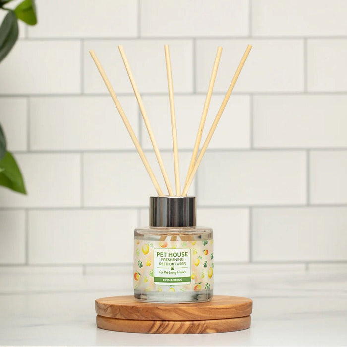 Pet House Reed Diffuser – Pet - Friendly Odor Neutralizer for Homes - PHCBV - Fresh Citrus - 3 fl oz - 12
