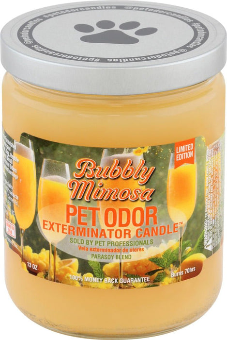 Pet Odor Exterminator Candle, Bubbly Mimosa, 13 oz - Jeffers - Animal & Pet Supplies > Pet Odor & Stain Removers