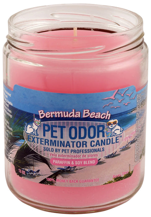 Pet Odor Exterminator Candle – Enzyme - Based Odor Eliminating Candle Safe for Pets - SPTA4 - Bermuda Beach (Limited Edition) - 13 oz - 80