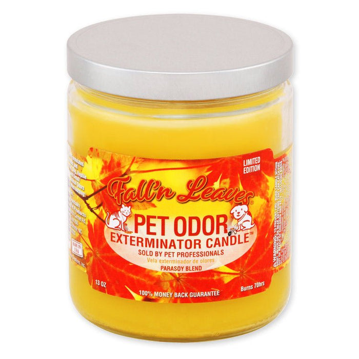 Pet Odor Exterminator Candle – Enzyme - Based Odor Eliminating Candle Safe for Pets - SPTC2 - Fall N Leaves - 13 oz - 18