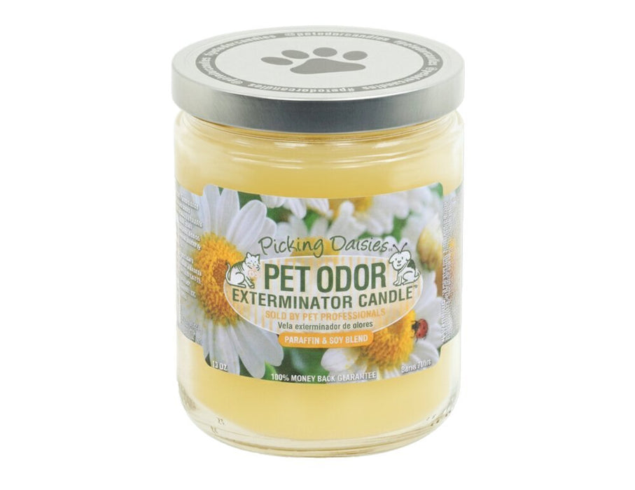 Pet Odor Exterminator Candle – Enzyme - Based Odor Eliminating Candle Safe for Pets - SPTH8 - Warm Flannel - 13 oz - 66