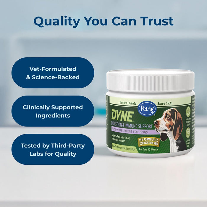 PetAg Dyne Digestion & Immune Support Soft Chews with Probiotics for Dogs, 60 ct - B7ZR - Chicken Liver - 60 Soft Chews - 7