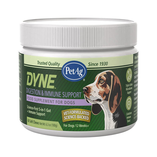 PetAg Dyne Digestion & Immune Support Soft Chews with Probiotics for Dogs, 60 ct - B7ZR - Chicken Liver - 60 Soft Chews - 1