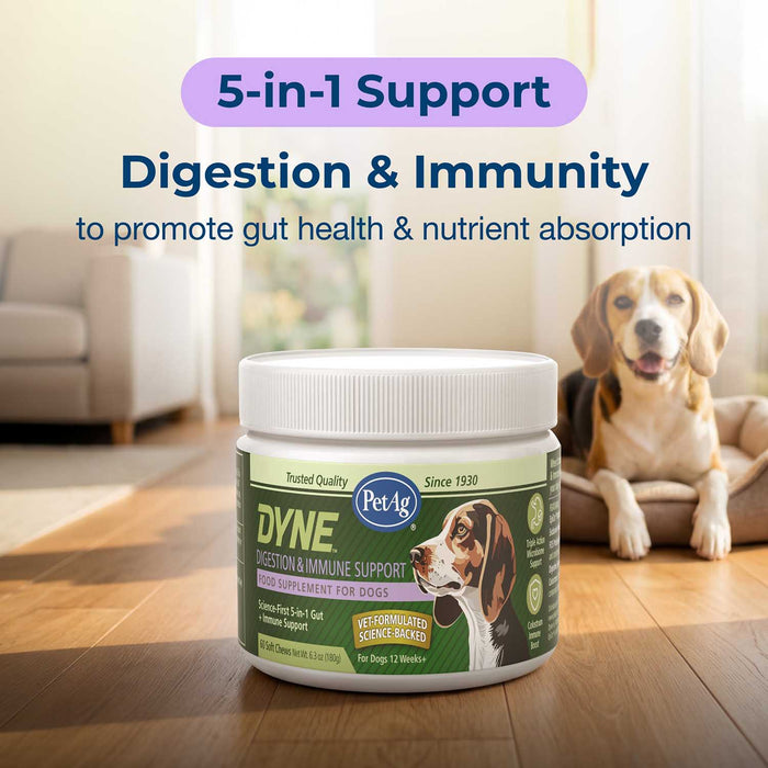 PetAg Dyne Digestion & Immune Support Soft Chews with Probiotics for Dogs, 60 ct - B7ZR - Chicken Liver - 60 Soft Chews - 9