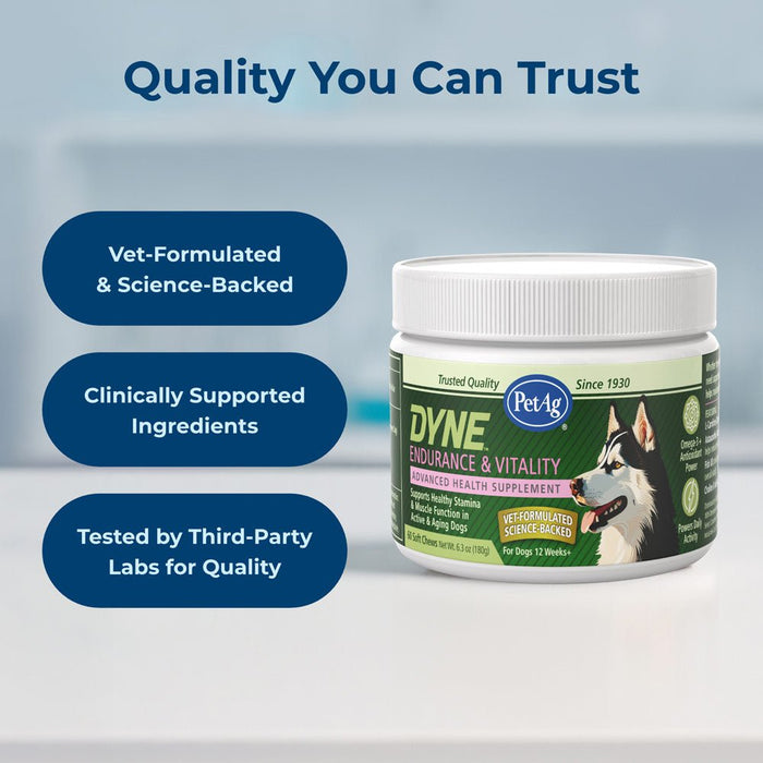 PetAg Dyne Endurance & Vitality Soft Chews for Dogs – Chicken Liver Flavor, 60 Count - B7ZT - Chicken Liver - 60 Soft Chews - 7
