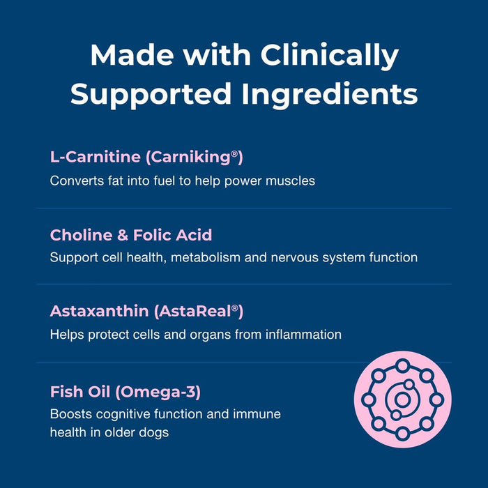 PetAg Dyne Endurance & Vitality Soft Chews for Dogs – Chicken Liver Flavor, 60 Count - B7ZT - Chicken Liver - 60 Soft Chews - 6