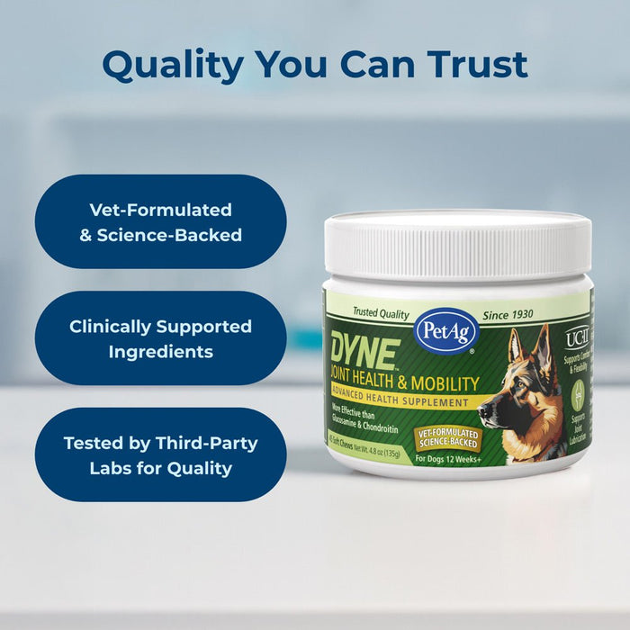 PetAg Dyne Joint Health & Mobility Soft Chews for Dogs – Chicken Liver Flavor, 45 Count - B7ZQ - Chicken Liver - 45 Soft Chews - 7