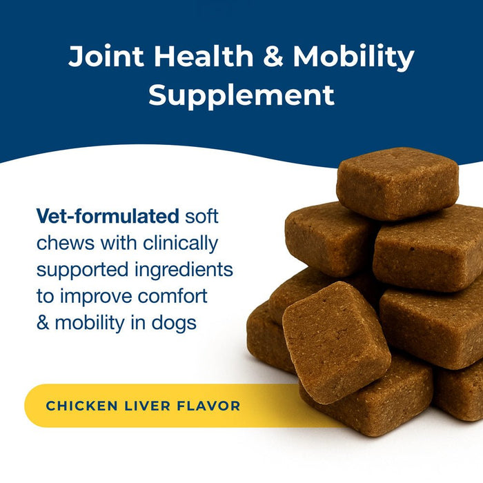PetAg Dyne Joint Health & Mobility Soft Chews for Dogs – Chicken Liver Flavor, 45 Count - B7ZQ - Chicken Liver - 45 Soft Chews - 4