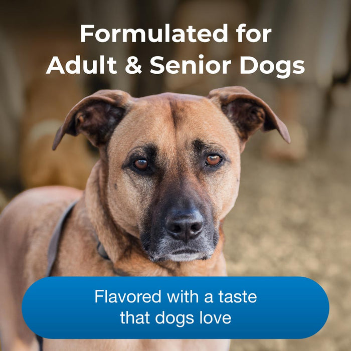 PetAg Esbilac Healthy Aging Powder for Adult & Senior Dogs, 14 oz - B7ZP - Powder - 14 oz - 1 ct - 6