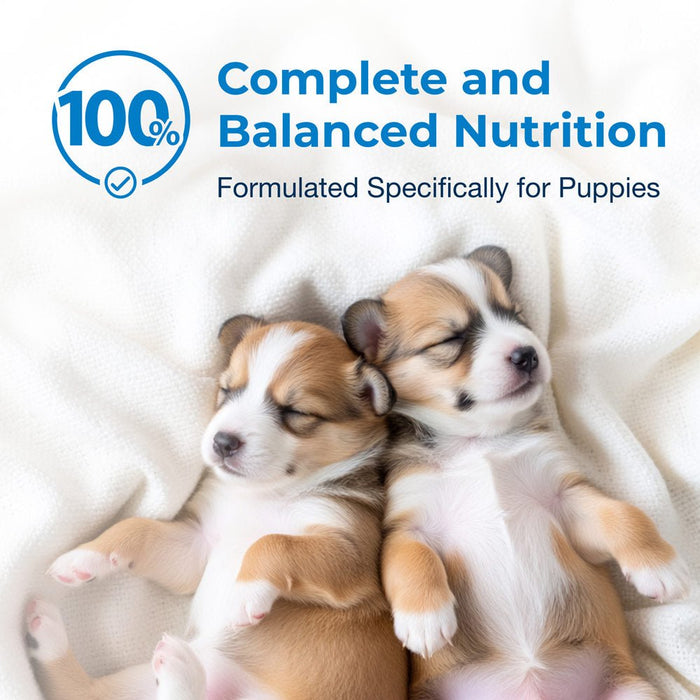 PetAg Esbilac Puppy Milk Replacer Liquid Supplement, Ready - to - Feed Formula with Vitamins - B7ZN - Liquid - 16 oz - 1 - 7