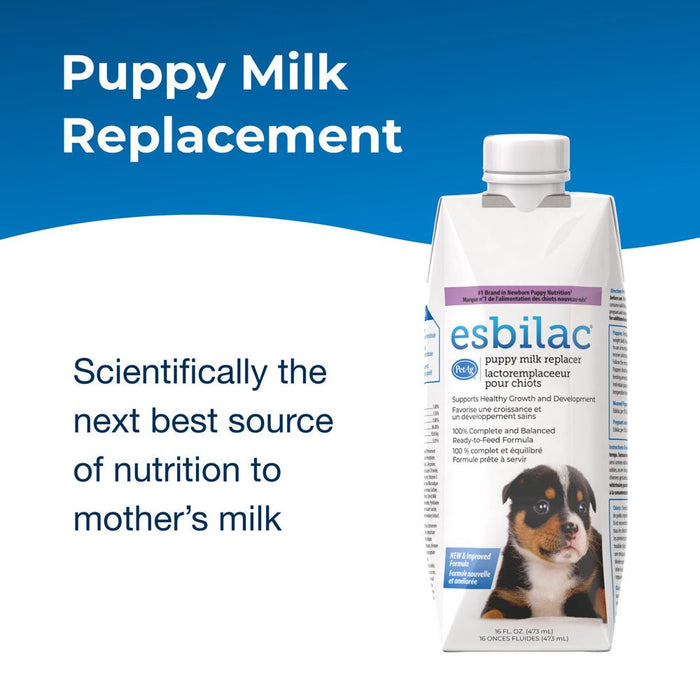 PetAg Esbilac Puppy Milk Replacer Liquid Supplement, Ready - to - Feed Formula with Vitamins - B7ZN - Liquid - 16 oz - 1 - 6
