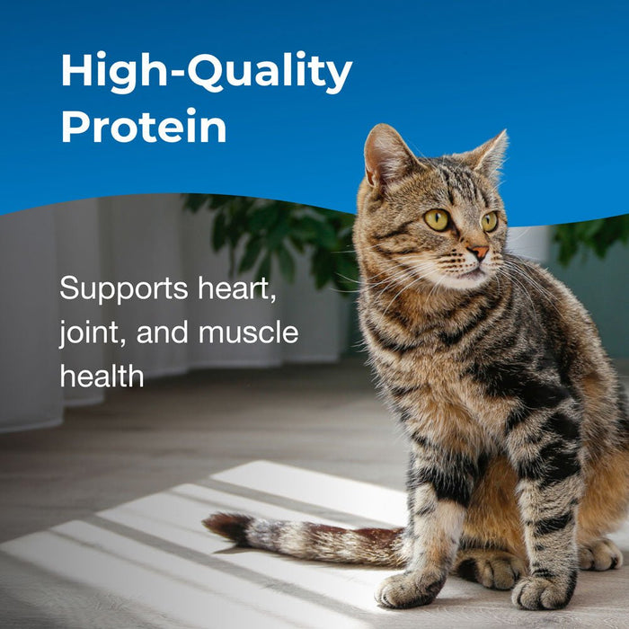 PetAg KMR Healthy Aging Powder for Adult & Senior Cats, 14 oz - B7ZV - Powder - 14 oz - 1 ct - 8