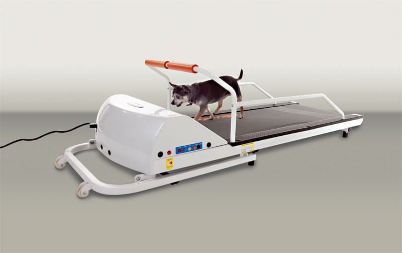 PetRun Small Breed Treadmill (PR710F) - Jeffers - Animal & Pet Supplies > Pet Agility Equipment