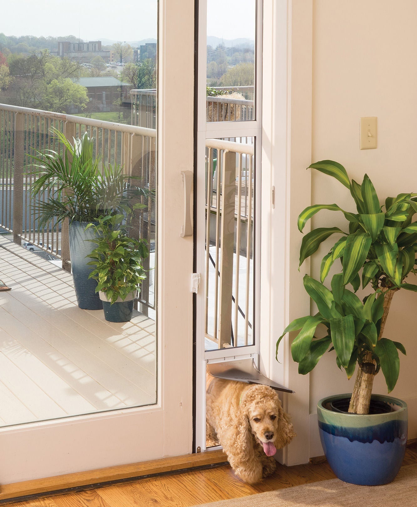 PetSafe Sliding Glass Pet Door - Medium, image size:1332x1618