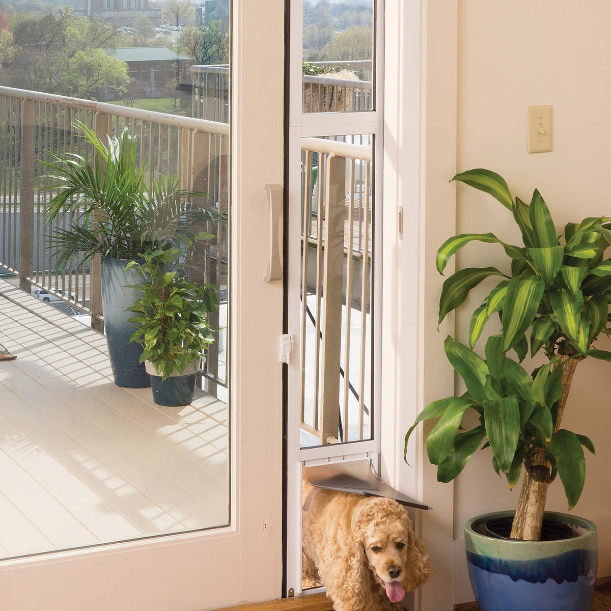 Petsafe sliding shops dog door