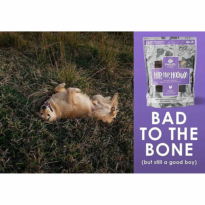 Phelps Wellness Functional Dog Chew Supplements – Calming, Digestive, Skin & Coat, Hip & Joint, Sensitive Stomach & Brain Support Treats, 4.5 oz - PH3AD - Hip Hip Hooray! Joint Health - Chicken - 4.5 oz - 17