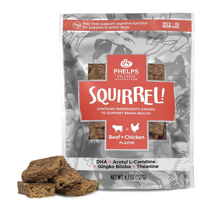 Phelps Wellness Functional Dog Chew Supplements – Calming, Digestive, Skin & Coat, Hip & Joint, Sensitive Stomach & Brain Support Treats, 4.5 oz - PH3AF - Squirrel! Brain Health - Beef - 4.5 oz - 22