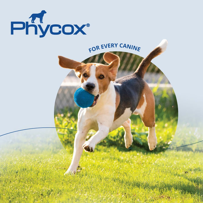 Phycox MAX Canine Joint Supplement Soft Chews, 90 ct - 015DP-PSCMAX - Beef Liver - 2
