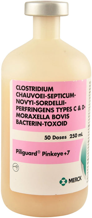 Piliguard Pinkeye+7 - Jeffers - Animal Health & Wellness > Vaccines