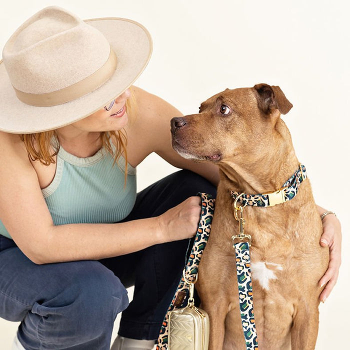 Pink Papyrus Beckett Collar, Leopard - Jeffers - Dog Supplies > Dog Apparel > Dog Collars, Harnesses, & Leashes