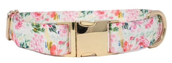 Pink Papyrus Isabella Collar, Floral - Jeffers - Dog Supplies > Dog Apparel > Dog Collars, Harnesses, & Leashes