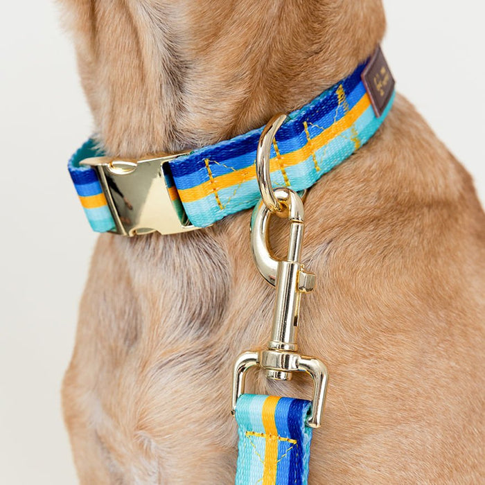 Pink Papyrus Milo Collar, Stripes - Jeffers - Dog Supplies > Dog Apparel > Dog Collars, Harnesses, & Leashes