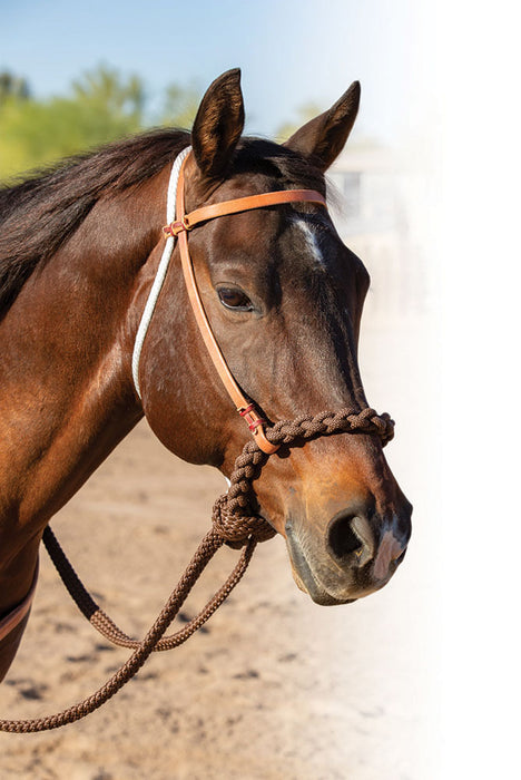 Professional's Choice Loping Hackamore -   