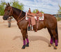 Buckstitch Harness Leather Browband Headstall -   