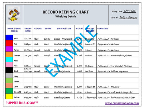 Puppies in Bloom Breeder Record Keeping Charts -   