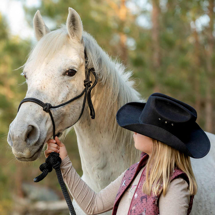 Poly Braided Rope Horse Halter with Lead - Jeffers - Horse Supplies > Horse Tack > Horse Halters