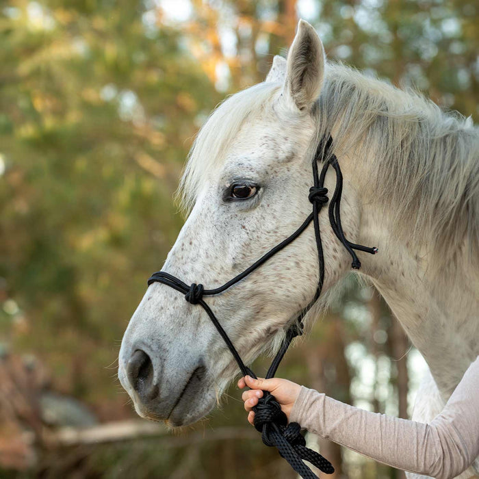 Poly Braided Rope Horse Halter with Lead - Jeffers - Horse Supplies > Horse Tack > Horse Halters