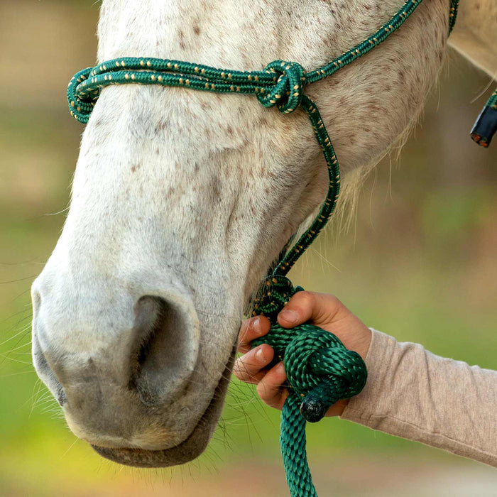 Poly Braided Rope Horse Halter with Lead - Jeffers - Horse Supplies > Horse Tack > Horse Halters