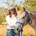 Poly Braided Rope Horse Halter with Lead - Jeffers - Horse Supplies > Horse Tack > Horse Halters