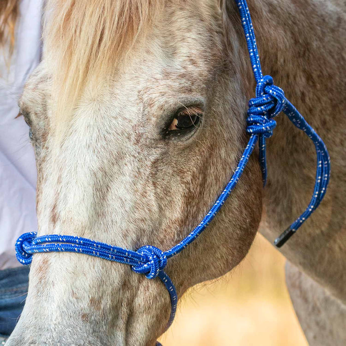 Poly Braided Rope Horse Halter with Lead - Jeffers - Horse Supplies > Horse Tack > Horse Halters