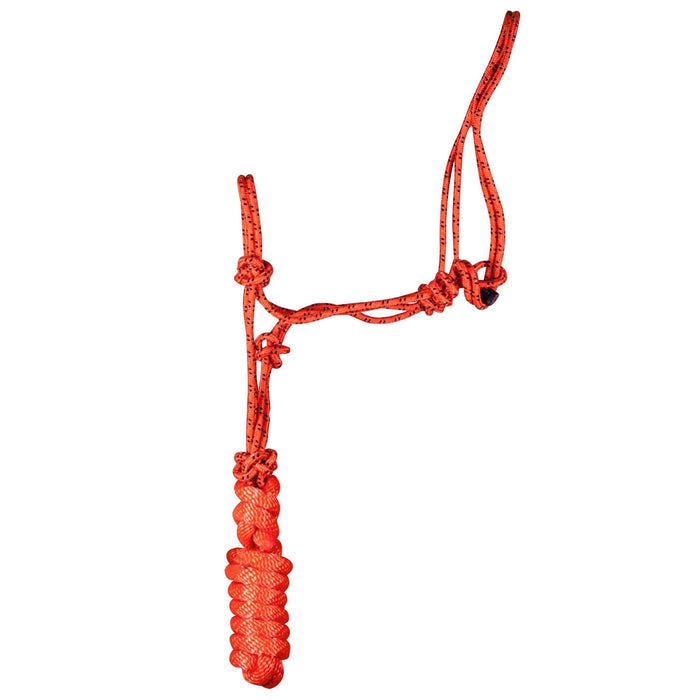 Poly Braided Rope Horse Halter with Lead - Jeffers - Horse Supplies > Horse Tack > Horse Halters