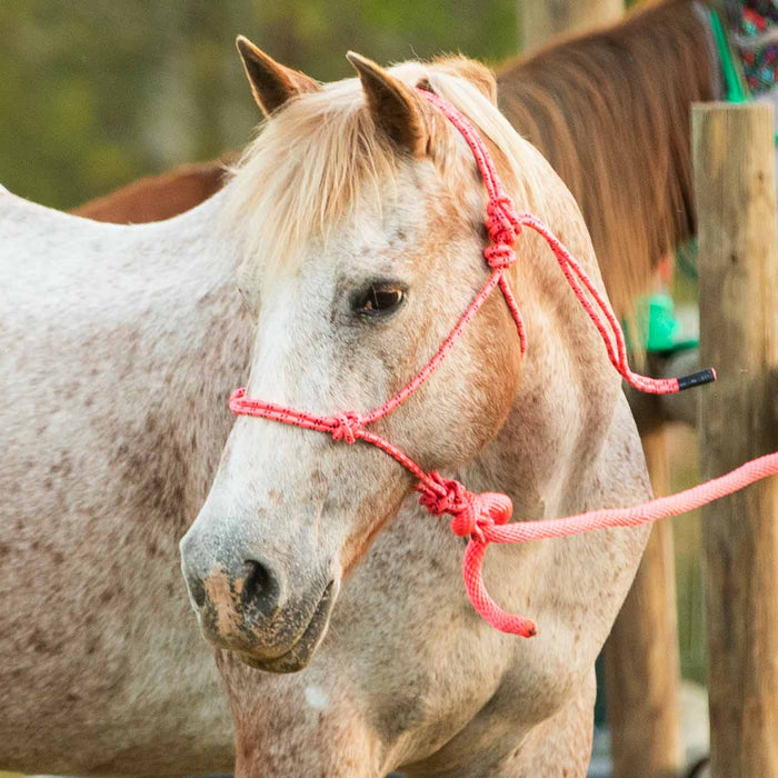 Poly Braided Rope Horse Halter with Lead - Jeffers - Horse Supplies > Horse Tack > Horse Halters