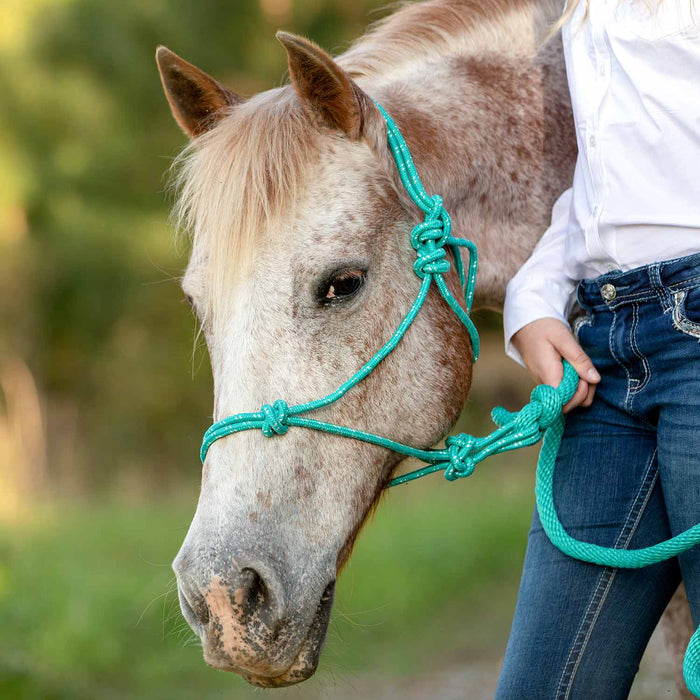 Poly Braided Rope Horse Halter with Lead - Jeffers - Horse Supplies > Horse Tack > Horse Halters