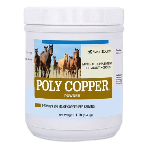 Poly Copper, Mineral Supplement for Horses, Powder - SMABN - 1 lb - 1