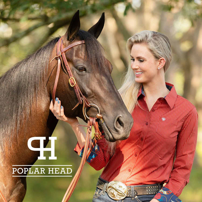 Poplar Head Saddlery Oiled Harness Leather Browband Headstall w/ Waterloop Ends - Jeffers - Horse Supplies > Horse Tack > Bridles & Headstalls