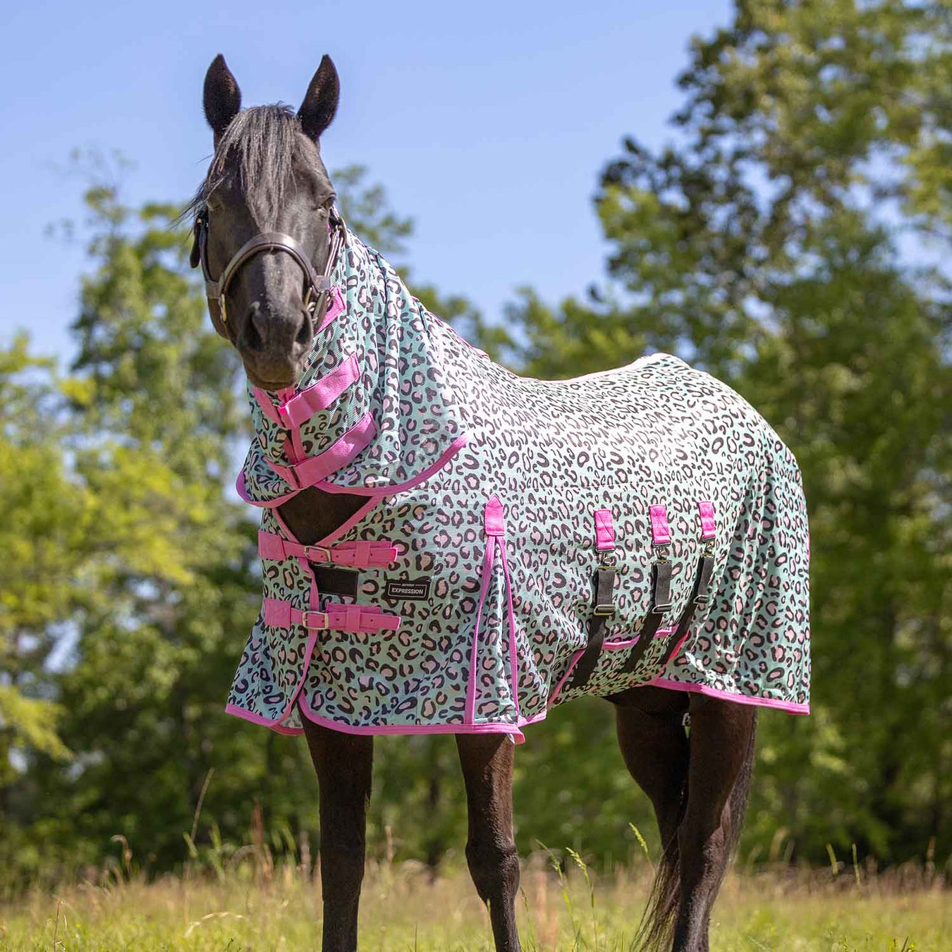 Pre - Sale Jeffers Expression Softmesh Combo Neck Horse Fly Sheet - JEFZY2 - Pre - Sale Party Cheetah - 66" - 18